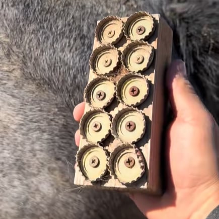 🐎 Horse Grooming Brush with Rolling Teeth