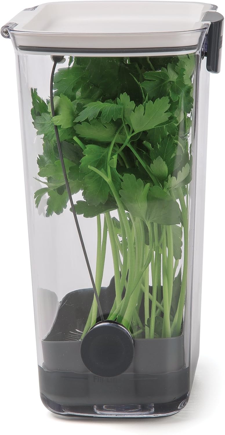 🌿 Fresh Herb Keeper Container – Keep Herbs Crisp & Flavorful Longer