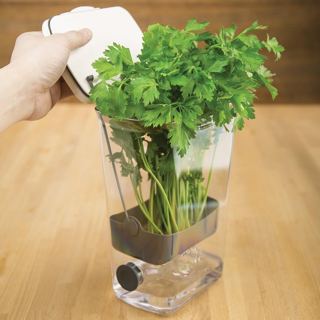 🌿 Fresh Herb Keeper Container – Keep Herbs Crisp & Flavorful Longer
