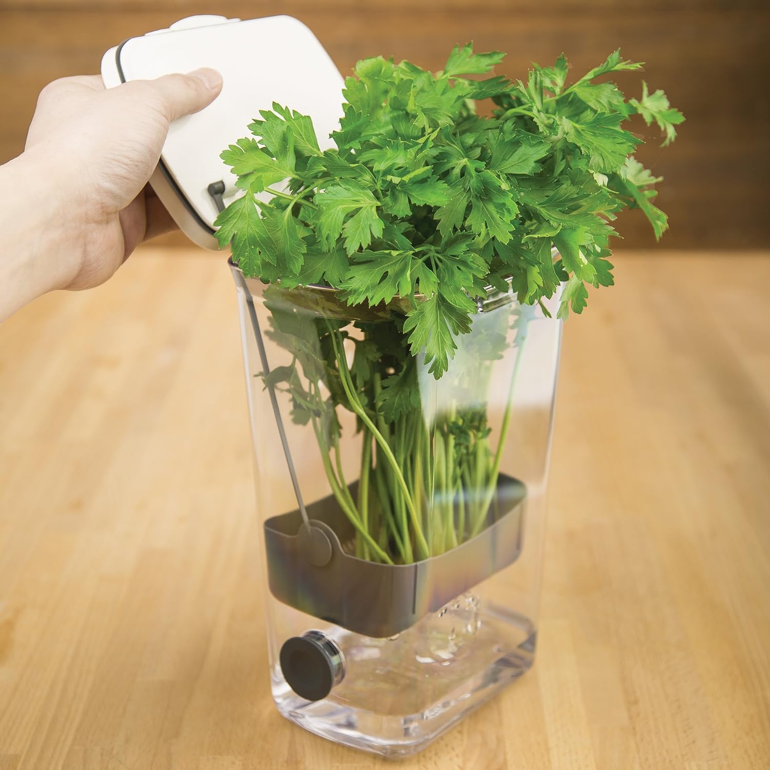 🌿 Fresh Herb Keeper Container – Keep Herbs Crisp & Flavorful Longer