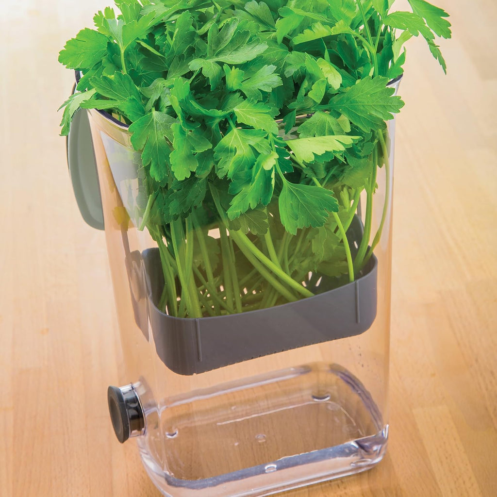 🌿 Fresh Herb Keeper Container – Keep Herbs Crisp & Flavorful Longer