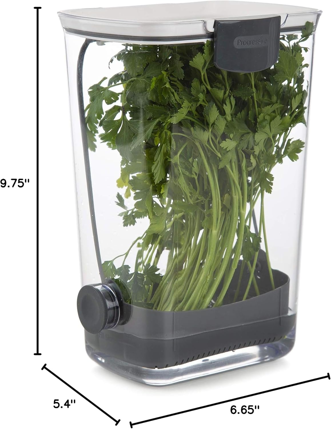 🌿 Fresh Herb Keeper Container – Keep Herbs Crisp & Flavorful Longer