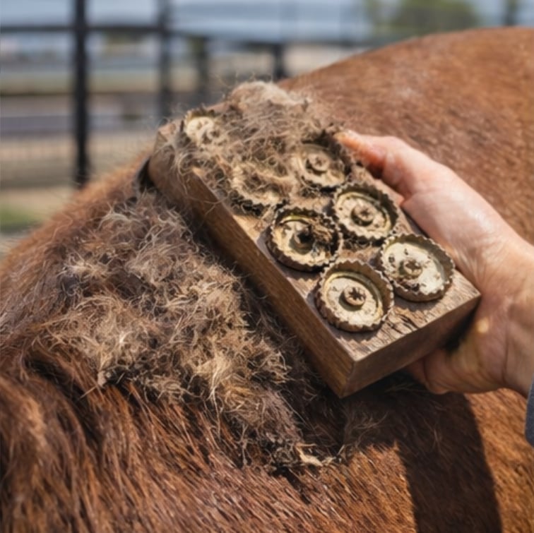 🐎 Horse Grooming Brush with Rolling Teeth